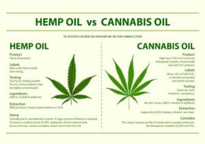 Hemp oil vs Cannabis oil horizontal infographic