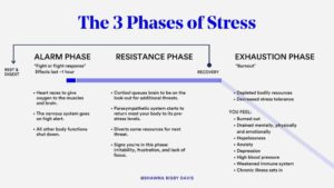 3 Phases of Stress